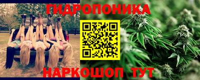 сатива Абакан
