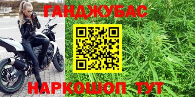 сатива Абакан
