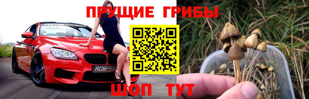 Псилоцибиновые грибы Psilocybe  Вход с VPN  Ангарск 